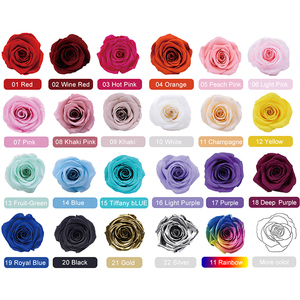 AM-PB002 Ammy couvercle <span class=keywords><strong>en</strong></span> verre de fleur préservée pour l'amour <span class=keywords><strong>Rose</strong></span> pour la Saint-Valentin fête des mères mariage décoration de noël Pâques Gi - Product Image 5