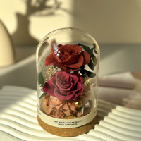 Vente chaude Mini Petites Fleurs Préservées Éternelle Pour Toujours Rose Couverture Décorative Roses Préservées Dans Un Dôme De Verre