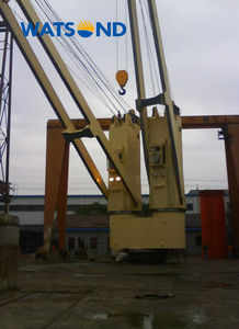 Grúa marina articulada de alta eficiencia Watsond para buques portacontenedores con sistema hidráulico a prueba de explosiones de despliegue rápido - Product Image 6