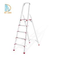 Échelle domestique en aluminium