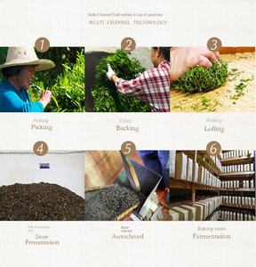 Hunan Anhua Specialty 240g vieux thé noir indépendant petits sachets de thé noir Haq Creek dans une boîte-cadeau - Product Image 5