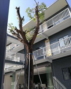 Недорогой простой в установке портативный сборный современный школьный классный здание - Product Image 2