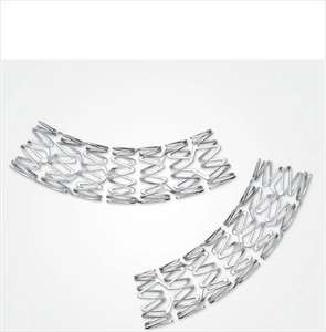 Système de stent coronaire de qualité médicale, à usage unique, avec expansion fluide et performance constante - Product Image 2