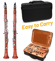 New Design Popular High Quality 17 Key Bb Clarinet Woodwind Musical Instrument Clarinet with Accessories