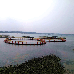 Cage flottante circulaire stable pour aquaculture, structure en HDPE, pour la culture de la bar et du dorade - Product Image 1