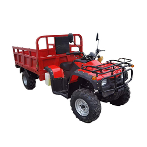 Cuatrimoto de Alto Rendimiento de 72V y 250cc para Uso en Granjas, Bosques y Pastizales - Product Image 2