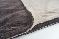 Meilleure vente 160*120cm Guangdong couverture chauffante portable Intertek couverture électrique