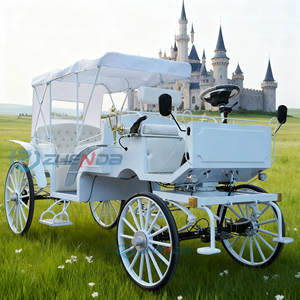 Chariot Électrique Tout Blanc pour Chevaux, Véhicule à Roues pour Visites en Plein Air et Mariages, Double Fonction Tiré par des Chevaux, à Vendre - Product Image 2