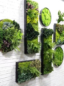Indoor/Outdoor Home Green <strong>Wall</strong> <strong>Decor</strong> Artificial Plant Moss Plastic Grass Flower <strong>Leaf</strong> <strong>Wall</strong> Decors - Product Image 2