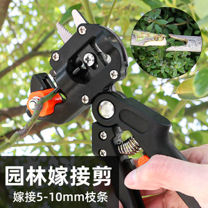 Cisailles de greffage Kyushu Garden 5-10 mm en acier inoxydable à coupe de sécurité pour arbres fruitiers et semis - Product Image 1
