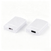 Boîtier de terminaison fibre optique mural intérieur 2 cœurs FTTH Mini NAP avec adaptateur SC Duplex pour réseau FTTR