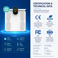 Balance connectée de composition corporelle WELLAND blanche, 8 électrodes, précision DEXA, prise en charge OEM/ODM, vente en gros, SDK, API, application