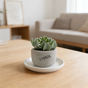 Suculenta Artificial Realista en Maceta, Planta Artificial de <span class=keywords><strong>Echeveria</strong></span> en Maceta, Suculenta <span class=keywords><strong>Roja</strong></span> para Decoración de Mesa de Oficina - Product Image 6