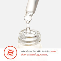 Huile de graines de camélia pure, naturelle, non diluée, raffinée, pressée à froid, ingrédient cosmétique pour les soins de la peau, du visage, des cheveux et des ongles - Prix de gros