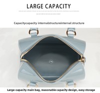2026 Lente Zomer Hot-Selling Enkelbands Schoudertas Transparante Mini Kussen Jelly Rits Casual Dames Emmersak