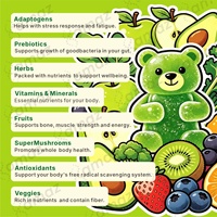 Bonbons gommeux super-alimentaires verts avec fibres prébiotiques, probiotiques et extraits végétaux pour le soutien de la digestion et la nutrition quotidienne