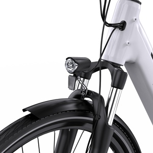 Livraison en entrepôt européen Best-seller batterie cachée mi-moteur low cross city e-bike Onesport OT07 - Product Image 6
