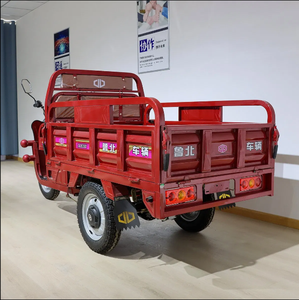 Remise Offre Spéciale populaire moto à trois roues tricycle électrique zéro émission - Product Image 4