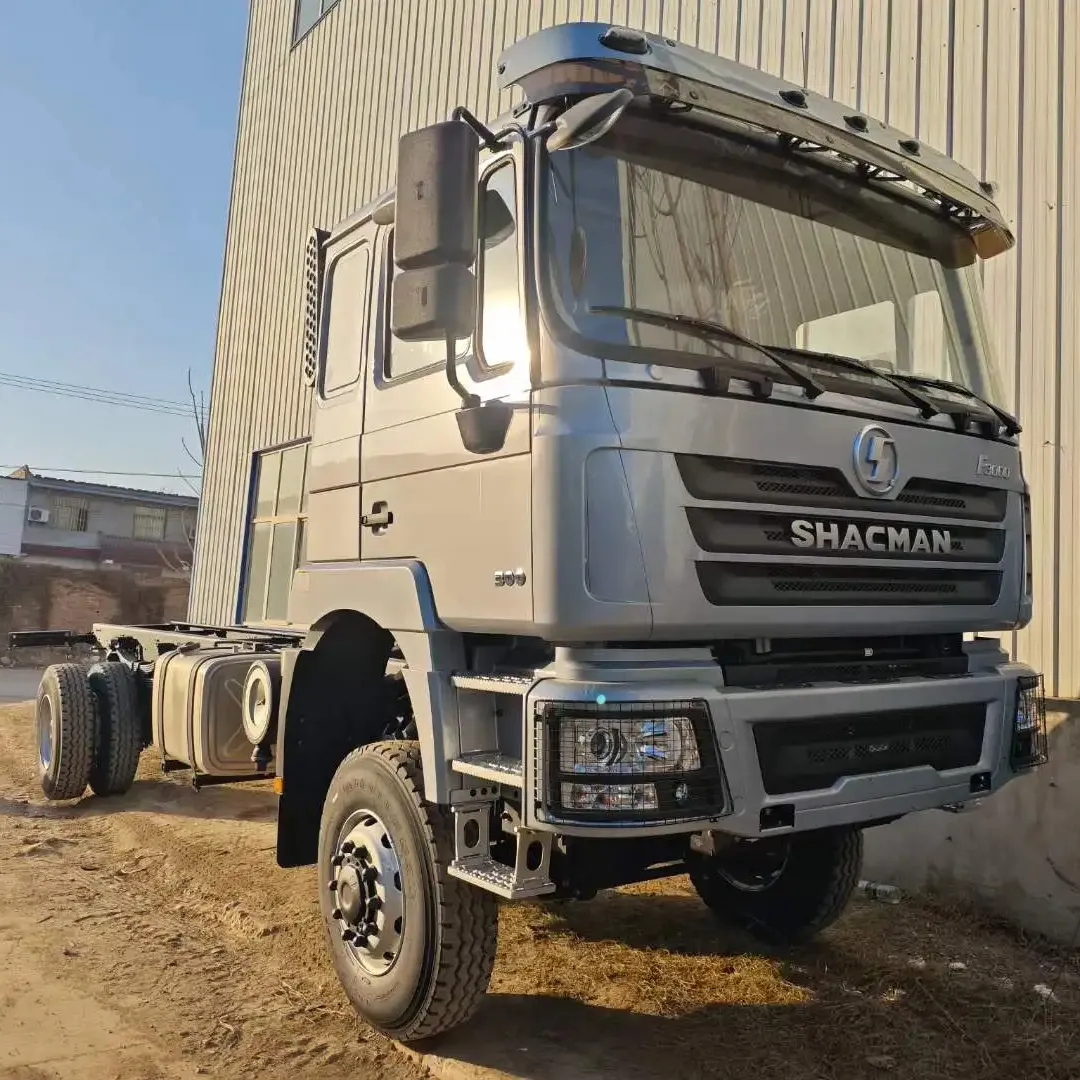 Shacman F3000 4*4 camion Cargo telaio 300HP 380HP 400HP RHD LHD