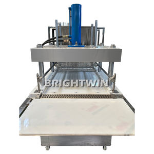 Machine d'emballage de cubes de bouillon de poulet BRIGHTWIN avec CE ISO9001 à Shanghai - Product Image 5