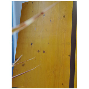 <span class=keywords><strong>Paneles</strong></span> <span class=keywords><strong>de</strong></span> <span class=keywords><strong>Encofrado</strong></span> Amarillos <span class=keywords><strong>de</strong></span> 3 Capas <span class=keywords><strong>de</strong></span> Alta Resistencia y Durabilidad para Construcción - Product Image 5