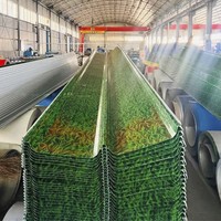 Tôles d'acier ondulées colorées 20G 24G, panneaux de toiture galvanisés à chaud, tôles d'acier revêtues de couleur