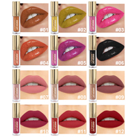 Lot de brillants à lèvres en gros, teinture minérale brillante, waterproof, 12 couleurs, volumisant, léger, haute pigmentation, longue tenue