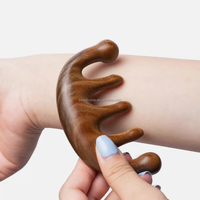 Peigne de massage des méridiens de la tête, outil de massage Gua Sha en bois pour la thérapie par acupuncture des cheveux