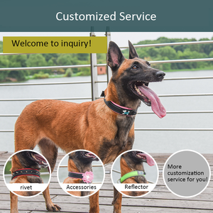 <span class=keywords><strong>Collar</strong></span> para Mascotas Popular en Amazon, <span class=keywords><strong>Collar</strong></span> de Nailon Reflectante de Tela de Buceo, <span class=keywords><strong>Collar</strong></span> Transpirable para Perro - Product Image 3