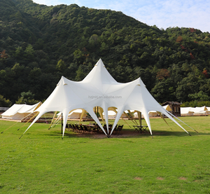 <span class=keywords><strong>Grande</strong></span> tente extérieure d'auvent de <span class=keywords><strong>bâche</strong></span> de camping extensible de 10m <span class=keywords><strong>20m</strong></span> pour la fête d'événement - Product Image 5