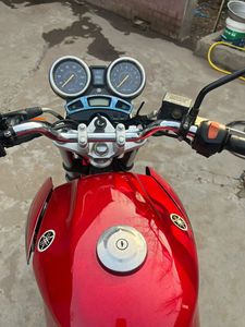 Motocyclettes d'<span class=keywords><strong>occasion</strong></span> Yamaha YBR250 250cc, motos tout-terrain, motos de rue, conduite confortable, performances puissantes, prêtes à rouler - Product Image 6