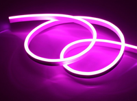 Lumière LED néon en silicone à double couche, étanche IP67, garantie 3 ans, à intensité variable, pour la décoration murale des clubs