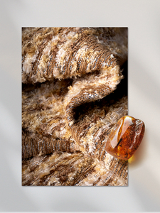 फैब पिकासो पर्यावरण के अनुकूल घर्षण-प्रतिरोधी संरचनात्मक बुना हुआ गृह कपड़ा 98% पीप/2% ली मध्यम वजन 680 जीएसएम 55/56" - Product Image 2