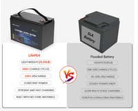 Batterie portable LiFePO4 12,8 V 100 Ah avec poignée, idéale pour le camping en extérieur et les courts voyages en camping-car, garantie 3 ans