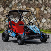 QIQU Go Kart Eléctrico Comercial con Transmisión por Eje, 48V 500W, Sin Escobillas, para Carreras Padre-Hijo, Capacidad de Carga 200kg, Freno de Disco Hidráulico, para Exteriores