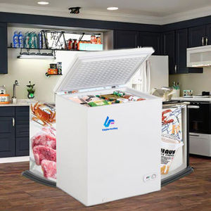 Congélateurs <span class=keywords><strong>Coffre</strong></span> Commerciaux Industriels 100L 200L 150L Alimentés par Courant Alternatif – Mini Congélateurs à Crème Glacée et Équipements de Réfrigération pour le Stockage - Product Image 6