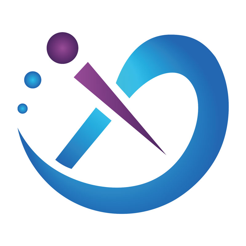 Xingxuan Technology (Hebei Xiong'an) Co., Ltd. logo
