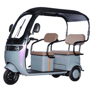 Kanopi <span class=keywords><strong>Trike</strong></span> kargo listrik 1000W, daya Motor 1000W, kapasitas muatan 400kg, bahan baja 60v, sepeda roda tiga penumpang - Product Image 2