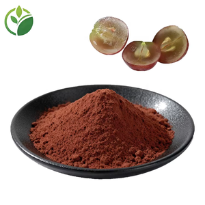 สารสกัดจากเมล็ดองุ่นธรรมชาติ โพรแอนธ์ไซยานิดิน 95% โอพีซี โปรไซยานิดินส์ ผง สารสกัดจากเมล็ดองุ่นชนิดผง - Product Image 2