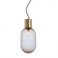Lampe suspendue en verre LED moderne décorative pour la maison, style décoratif vintage, pour utilisation en hôtel, AC 110V-240V