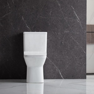 Anbi hình chữ nhật hình dạng một mảnh <span class=keywords><strong>S</strong></span> bẫy siphonic trở lại tường phòng tắm Châu Á nhà vệ sinh - Product Image 5