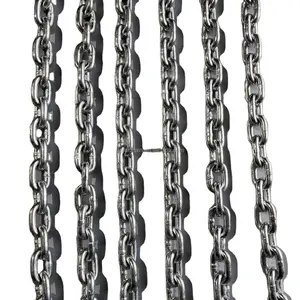 8*25.4mm Galvanized Slaughter Line Chain Poultry Processing Transport Chain