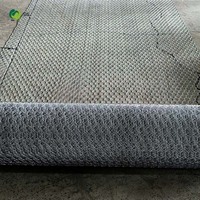 Grillage hexagonal sur mesure à petit maillage, prix usine, pour poulaillers et cages à animaux