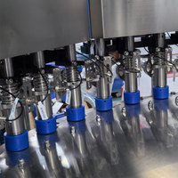 Machine de remplissage et de bouchage automatique pour sachets préformés à bec verseur
