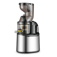 LGO 220V Multifunctionele professionele slowjuicer van roestvrij staal voor juicebars