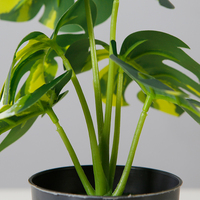 Tanaman Bonsai Monstera Tinggi 21CM Dekorasi Dalam Ruangan Tanaman Buatan Daun Putih dan Hijau