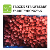 Offre spéciale Achat en gros de fraises congelées Fraises congelées à vendre Idéal pour les détaillants et les fabricants de smoothie