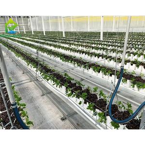 Support galvanisé haute résistance serre <span class=keywords><strong>fraise</strong></span> tomate plantation verticale culture <span class=keywords><strong>gouttière</strong></span> en plastique systèmes de culture - Product Image 2