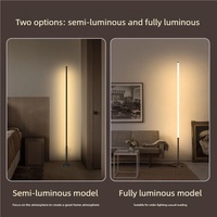Lampe sur pied LED intelligente minimaliste de style nordique, design moderne, LED RGB, hauteur réglable, utilisation hôtelière, éclairage de salon, télécommande