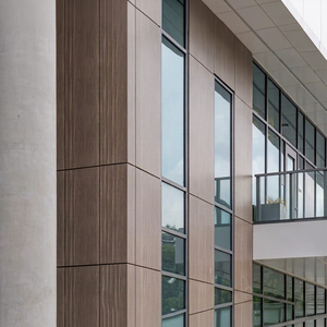 Système de mur-rideau en panneaux muraux décoratifs imitation bois, imperméable et résistant au feu, pour revêtement de façade de bâtiment de bureaux - Product Image 1